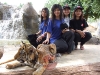 DSCF5917