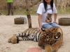 DSCF5861