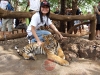 secrets-girls-pattaya000016