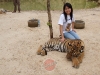 secrets-girls-pattaya000017