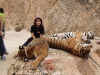 secrets-girls-pattaya000018