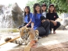 secrets-girls-pattaya000018