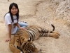 secrets-girls-pattaya000017