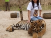 secrets-girls-pattaya000019