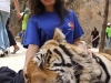 secrets-girls-pattaya000020