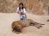 secrets-girls-pattaya000020