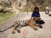 secrets-girls-pattaya000007