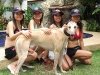 secrets-girls-pattaya000024
